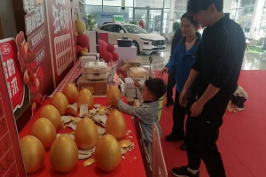 [大理] 双12狂欢购 钜惠享不停